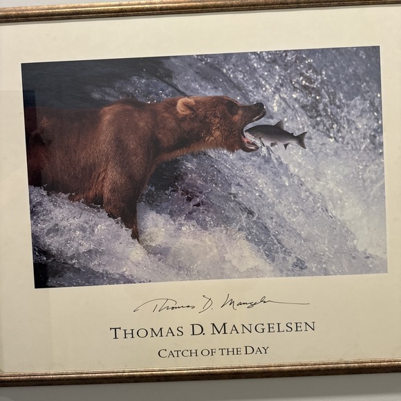 Framed Large Thomas D. Mangelsen Catch of the Day Photo Signed Art Print - Picture 10 of 16